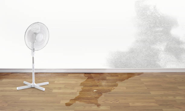 Best Water damage cleanup near me  in Falling Water, TN