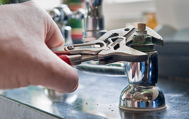 Best Mold removal after water damage  in Falling Water, TN